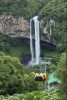 Thumbnail GRAMADO Y CANELA0
